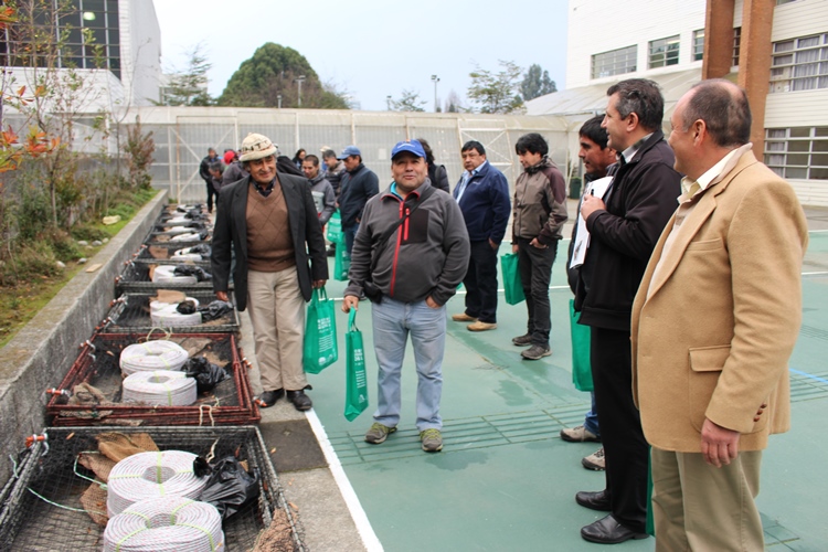 Innovación en el uso de trampas del congrio dorado